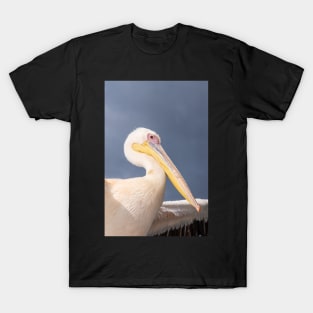 Pelican. T-Shirt